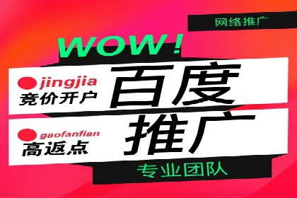 跨行业SEM广告投放的多样化案例分析
